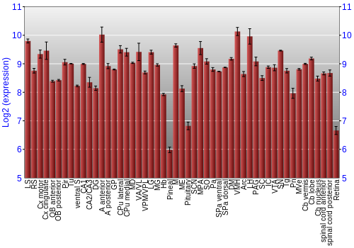 Expression graph