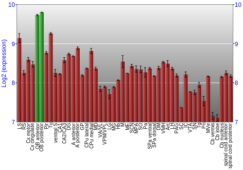 Multi-state expression graph