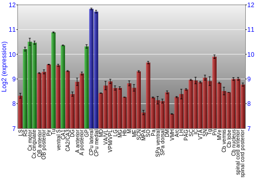 Multi-state expression graph