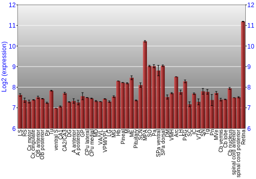 Expression graph