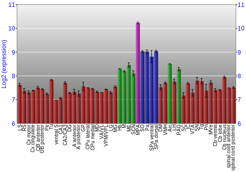 Multi-state expression graph