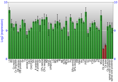 Multi-state expression graph