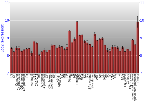 Expression graph