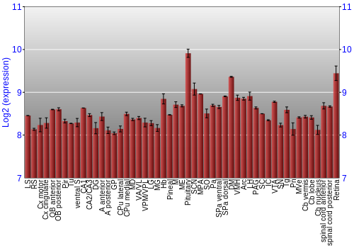 Expression graph