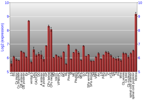 Expression graph
