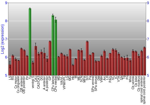 Multi-state expression graph
