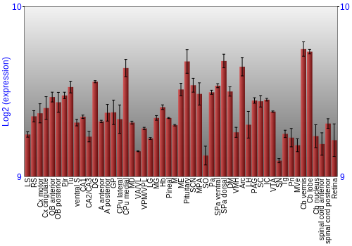 Expression graph