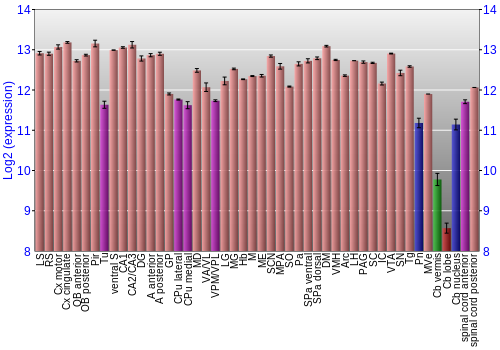 Multi-state expression graph