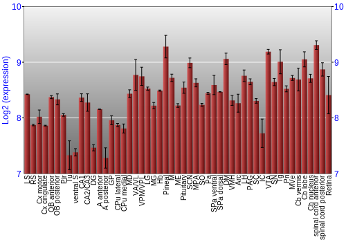 Expression graph
