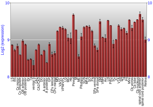 Expression graph