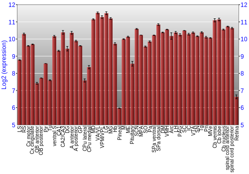 Expression graph