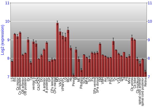Expression graph