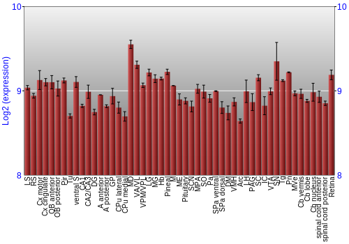 Expression graph