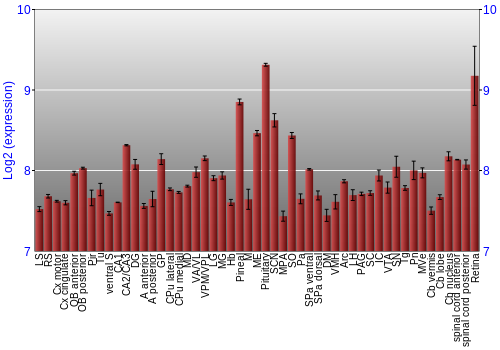 Expression graph