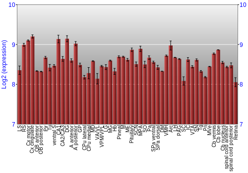 Expression graph