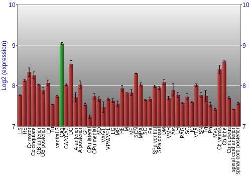 Multi-state expression graph