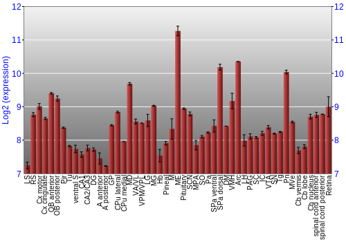 Expression graph