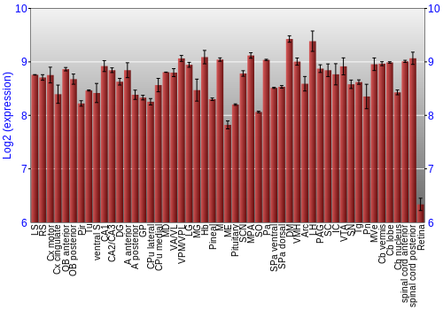 Expression graph