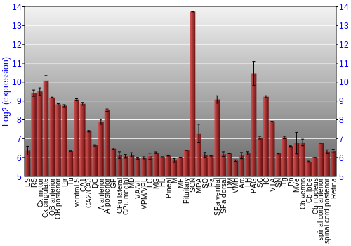 Expression graph