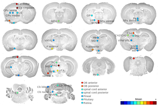 Expression map