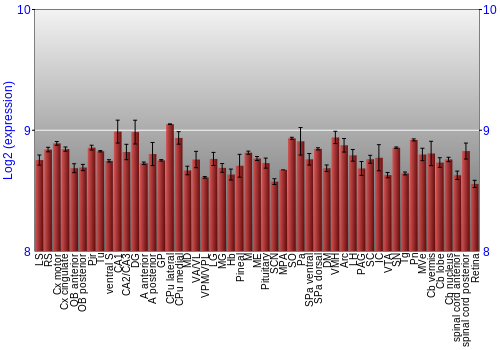 Expression graph