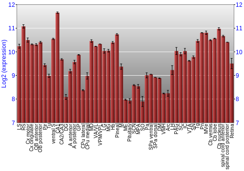 Expression graph