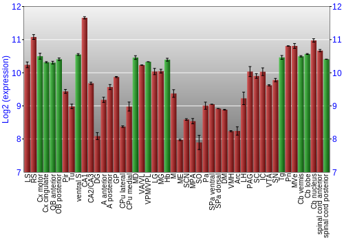 Multi-state expression graph