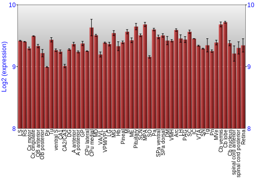Expression graph