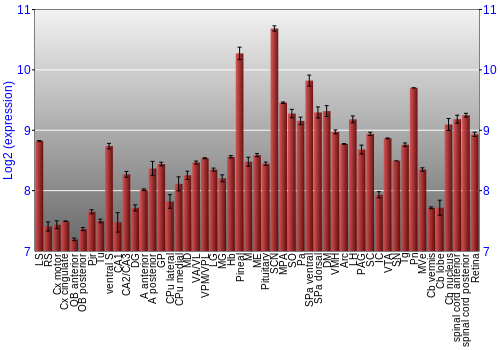 Expression graph