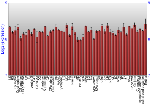 Expression graph