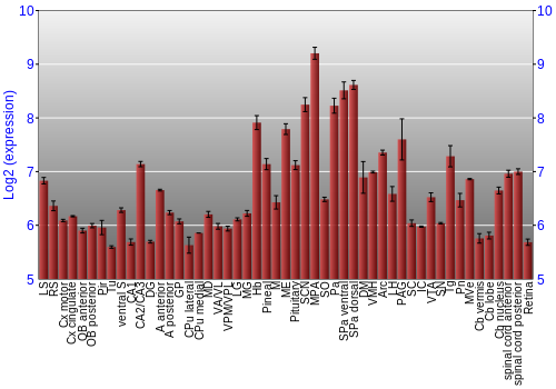 Expression graph