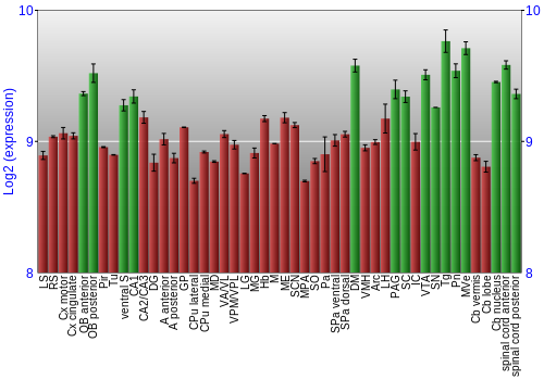Multi-state expression graph