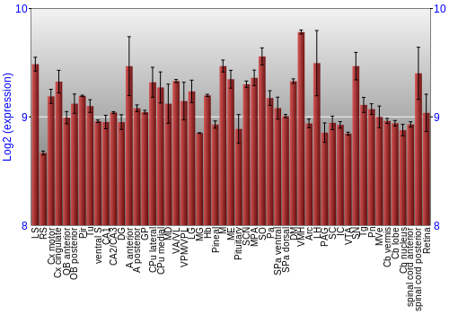 Expression graph