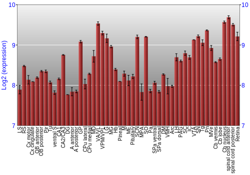Expression graph