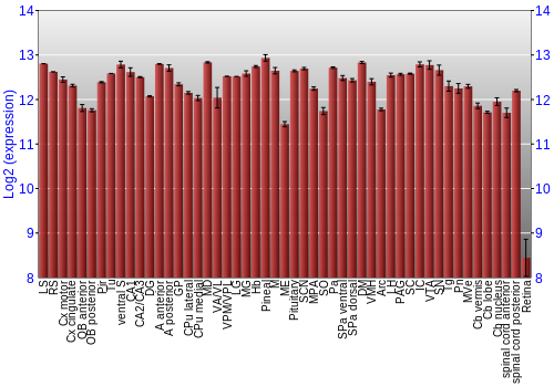 Expression graph