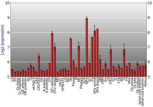 Expression graph