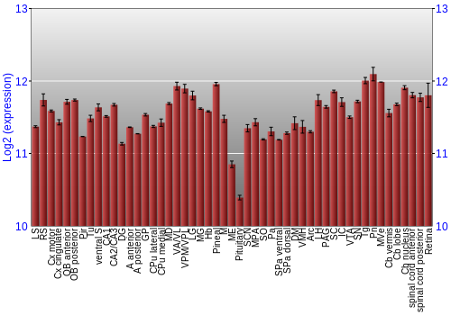 Expression graph