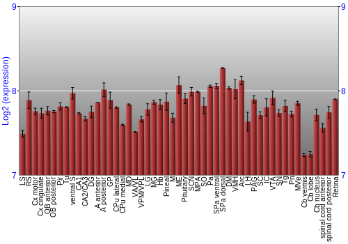 Expression graph