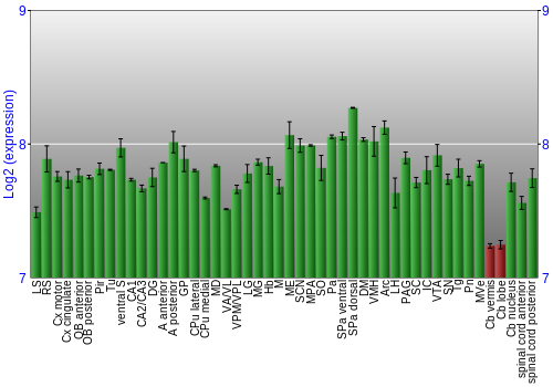Multi-state expression graph