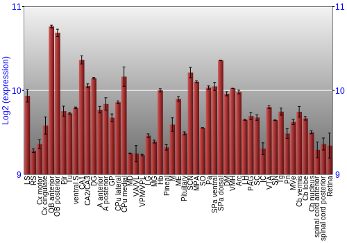 Expression graph