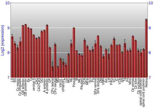 Expression graph