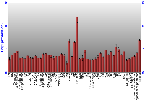 Expression graph