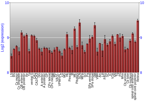 Expression graph