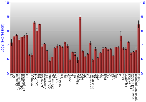 Expression graph