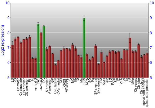 Multi-state expression graph