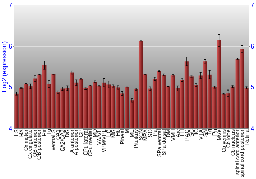 Expression graph