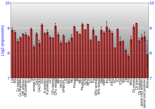 Expression graph