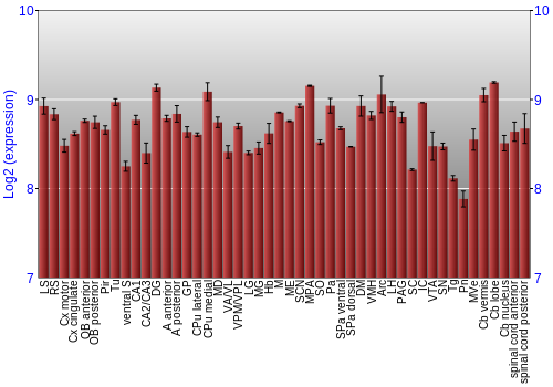 Multi-state expression graph