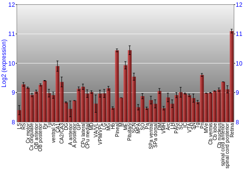 Expression graph