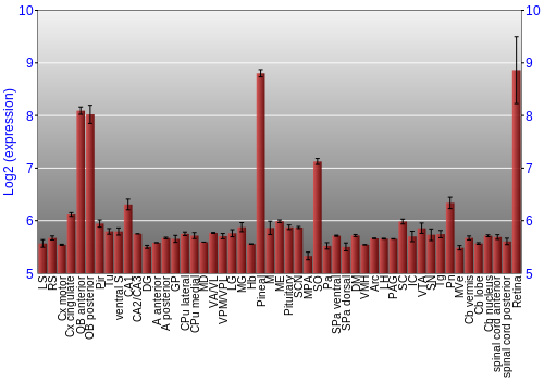 Expression graph